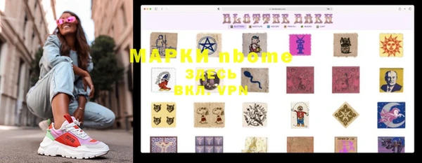 ПСИЛОЦИБИНОВЫЕ ГРИБЫ Арсеньев