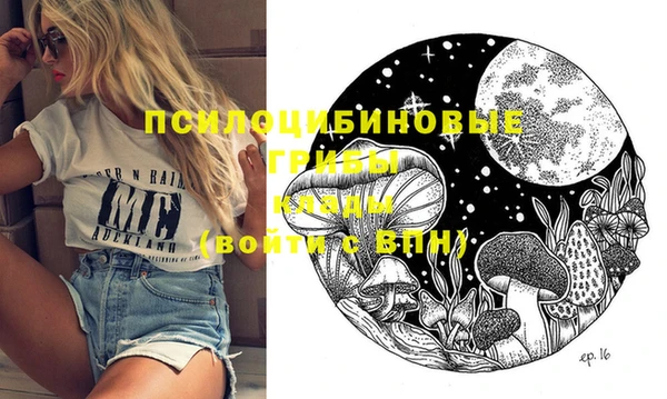 ПСИЛОЦИБИНОВЫЕ ГРИБЫ Арсеньев