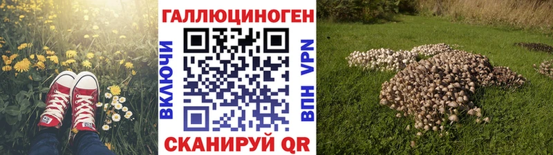Псилоцибиновые грибы мицелий  Инта 