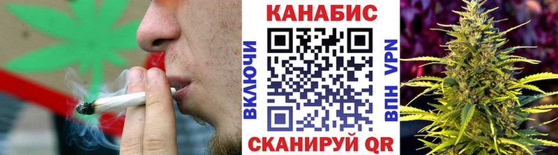 Марихуана сатива Инта
